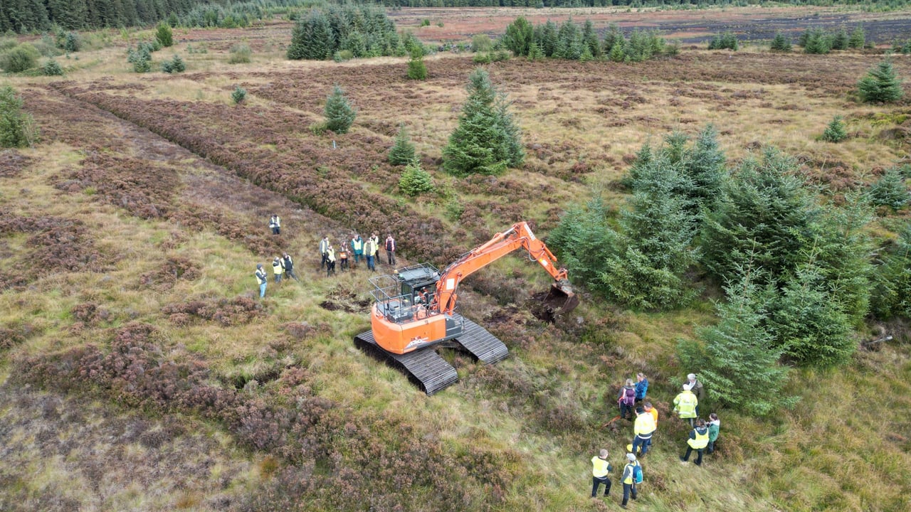 Over 30 people complete NI peatland restoration training
