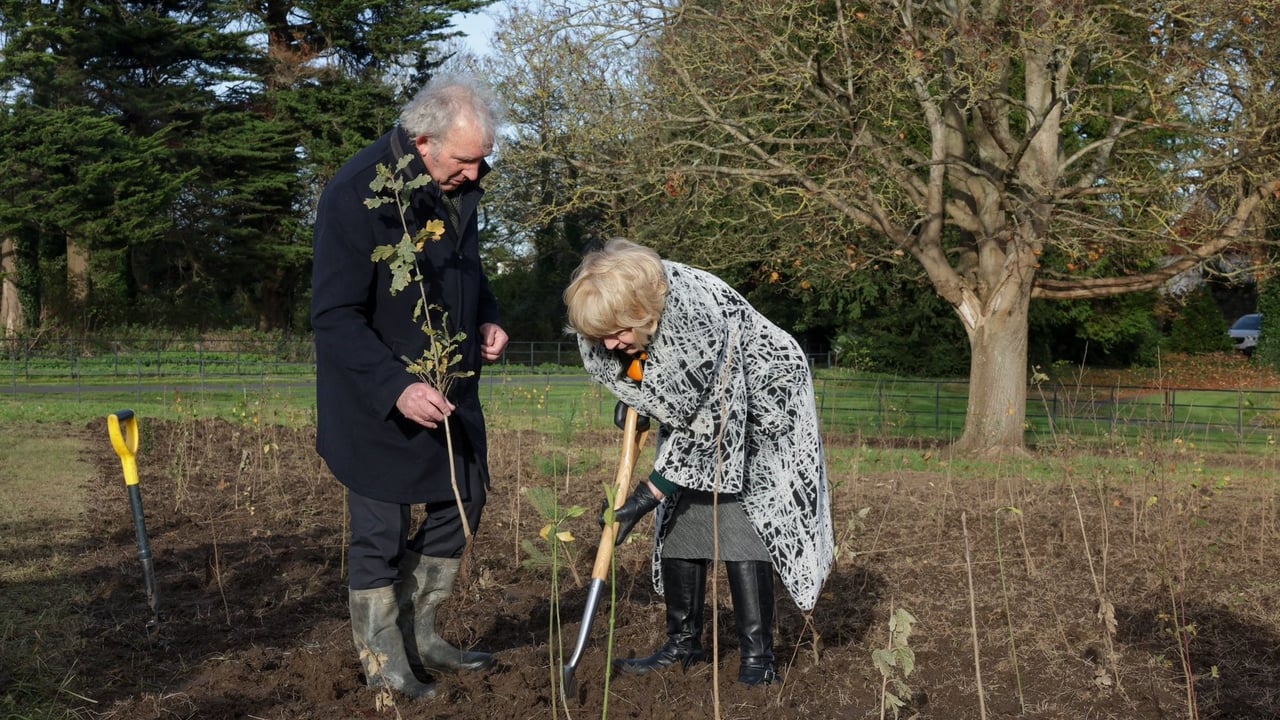 Source: President of Ireland, X