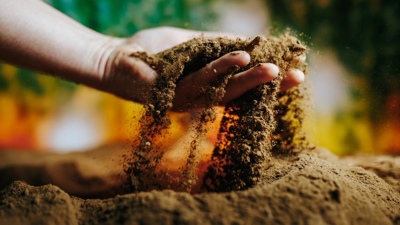 Final registration deadline for NI Soil Nutrient Health Scheme approaching