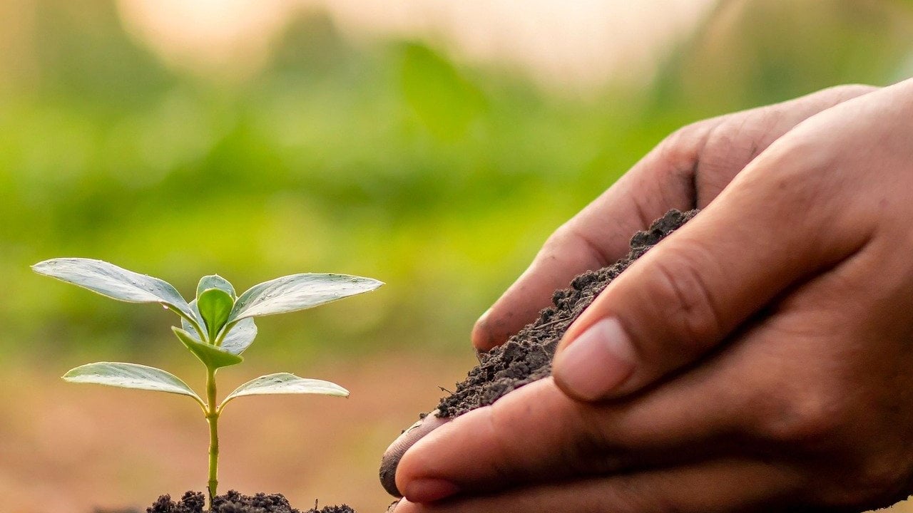 €17.5m up for grabs for new 'environmental sustainability' projects