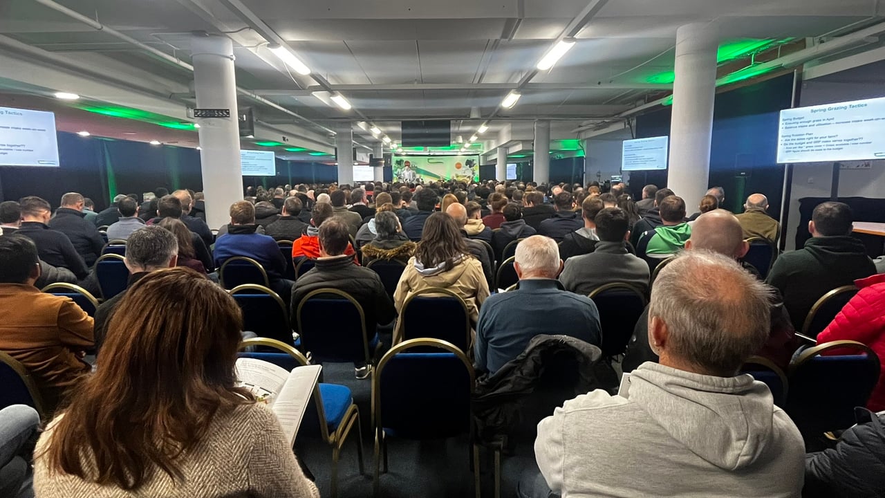 2024 ending on 'a good note' for dairy farmers - O'Mara