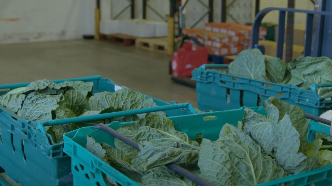 Watch: Growers' produce redistributed at FoodCloud Galway hub