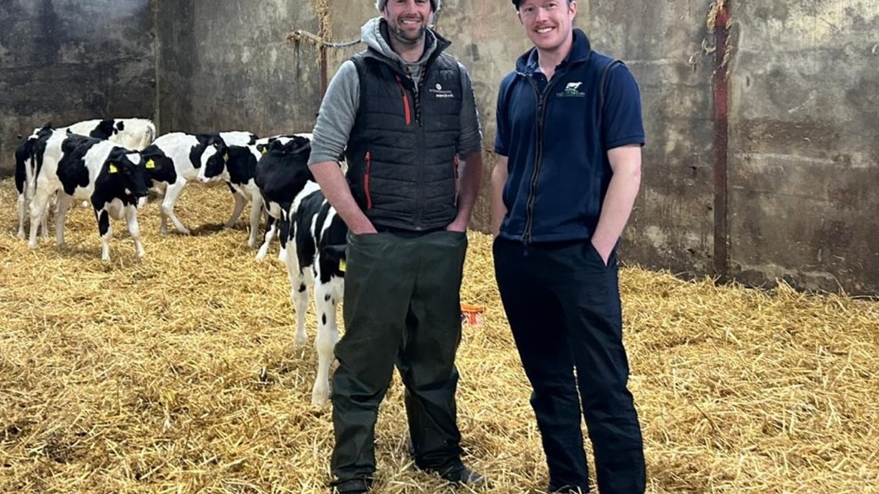 Antrim dairy farmer praises new crypto vaccine