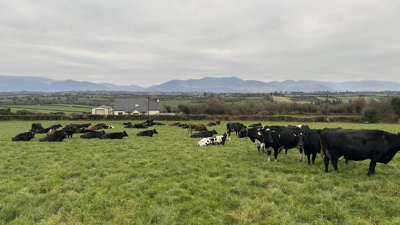 Agriland and LIC present new series focused on efficient breeding