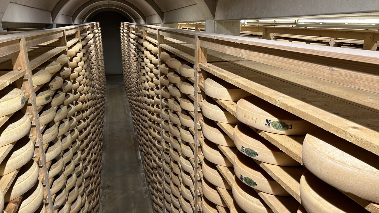 Watch: Comté cheese taste testing in a 100,000 wheel cellar