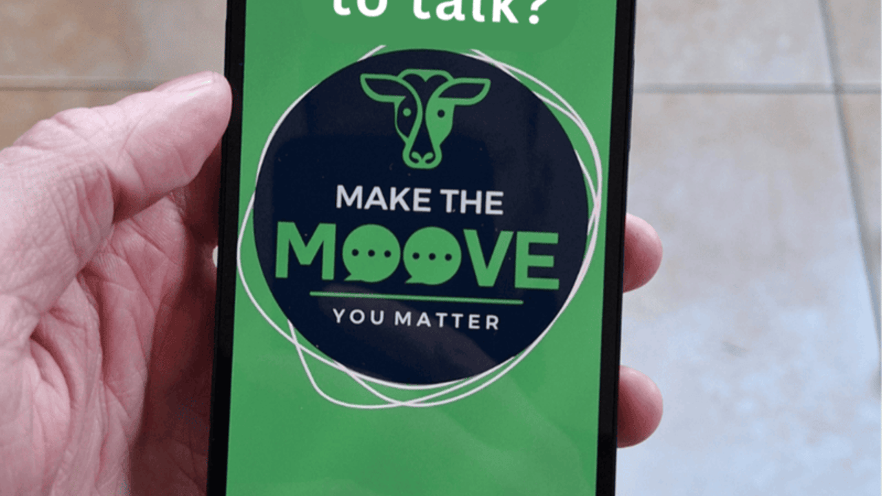 Make the Moove support line to operate during Christmas