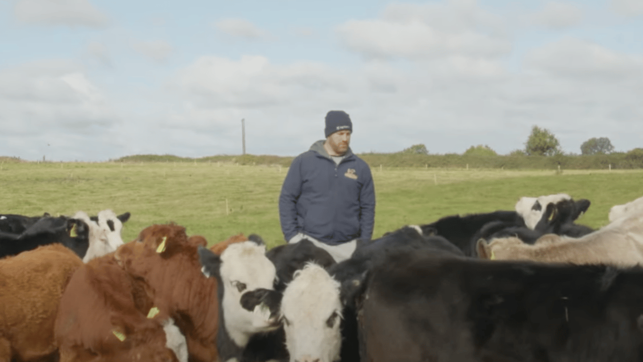 Sean O'Brien's suckler and dairy-beef farm in Carlow