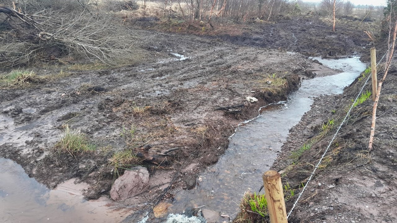 Landowner convicted for dredging fish spawning habitat