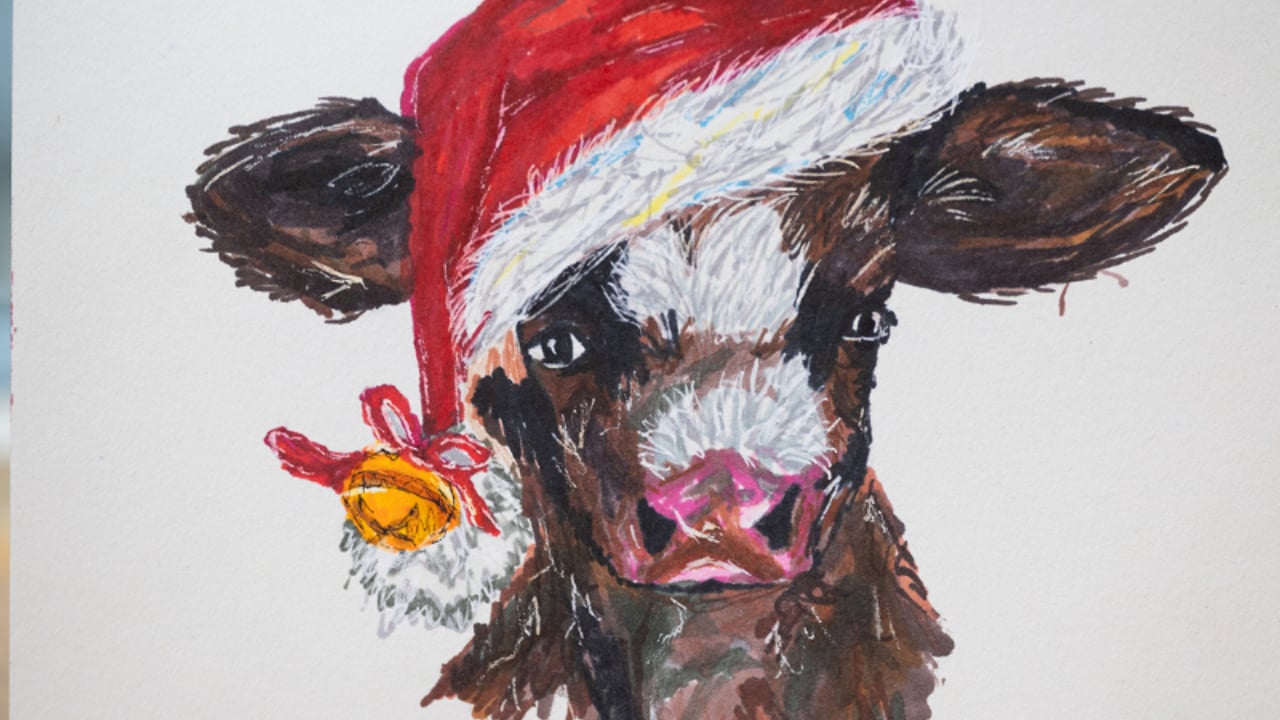 NDC announces winner of Christmas card competition