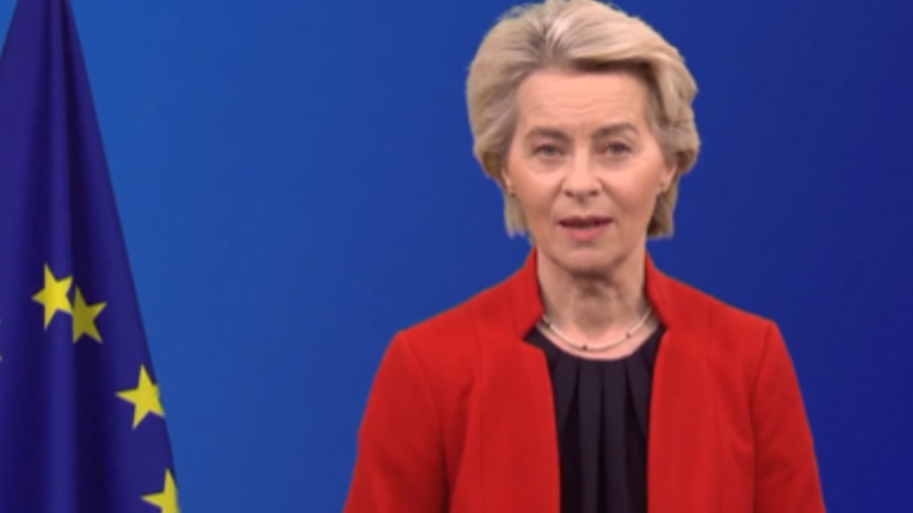 The president of the European Commission, Ursula von der Leyen Source: European Union