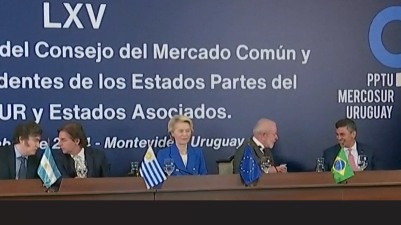 Irish NGOs warn Mercosur will speed up 'collapse of family farms'