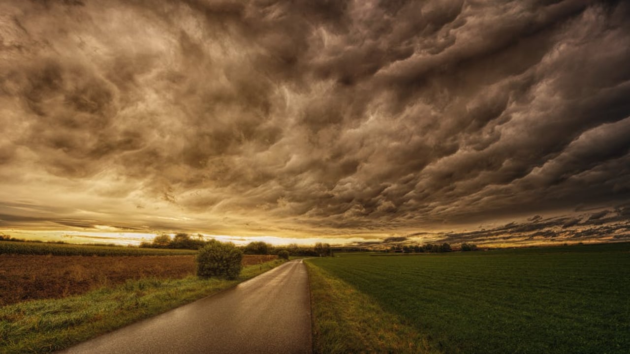 ESB Networks Winter Safety Series: Dealing with stormy conditions on farm