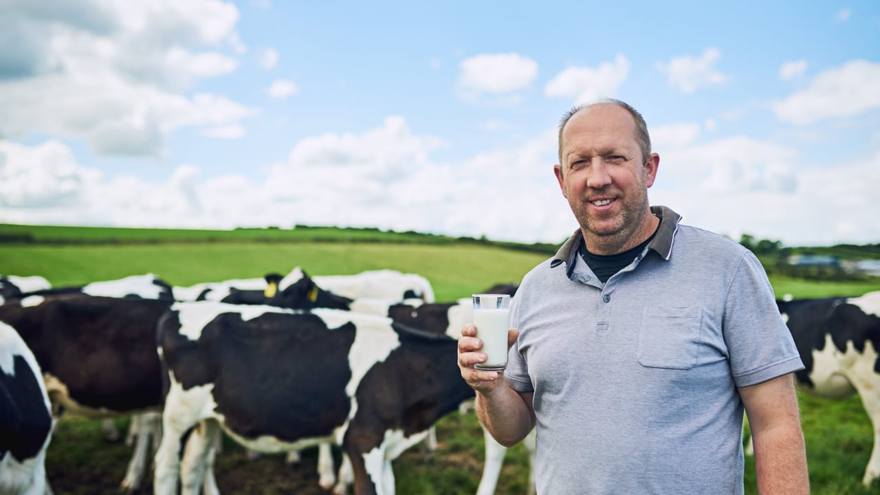 Ireland tops EU poll for 'sharpest' milk price increase in 2024 - Eurostat