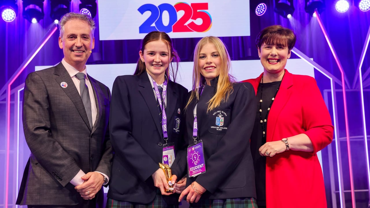 Sligo students to take sheep wool and concrete project 'large scale'