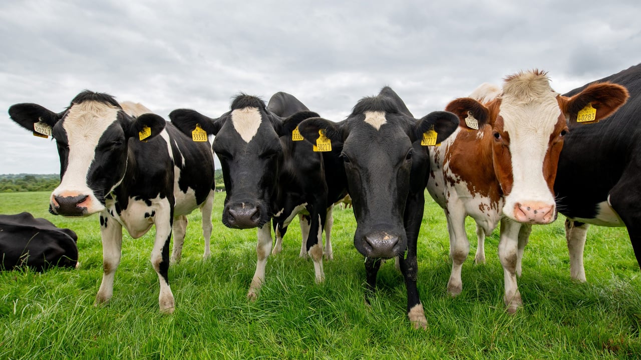 'Your Farm Your Future' events take place on Monday, January 20 in Letterkenny Co. Donegal and Claremorris Co. Mayo. Image source: Clive Wasson