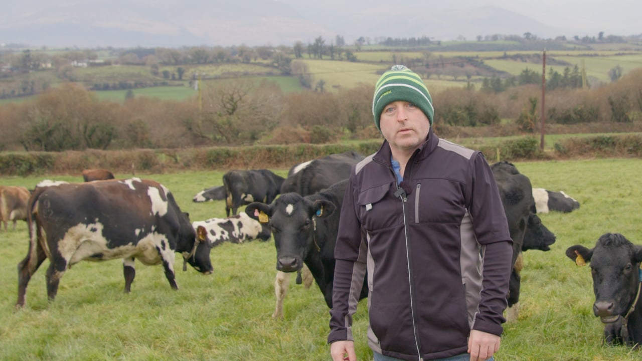 Video: Breeding for Efficiency Series: Maintaining solids with OAD milking