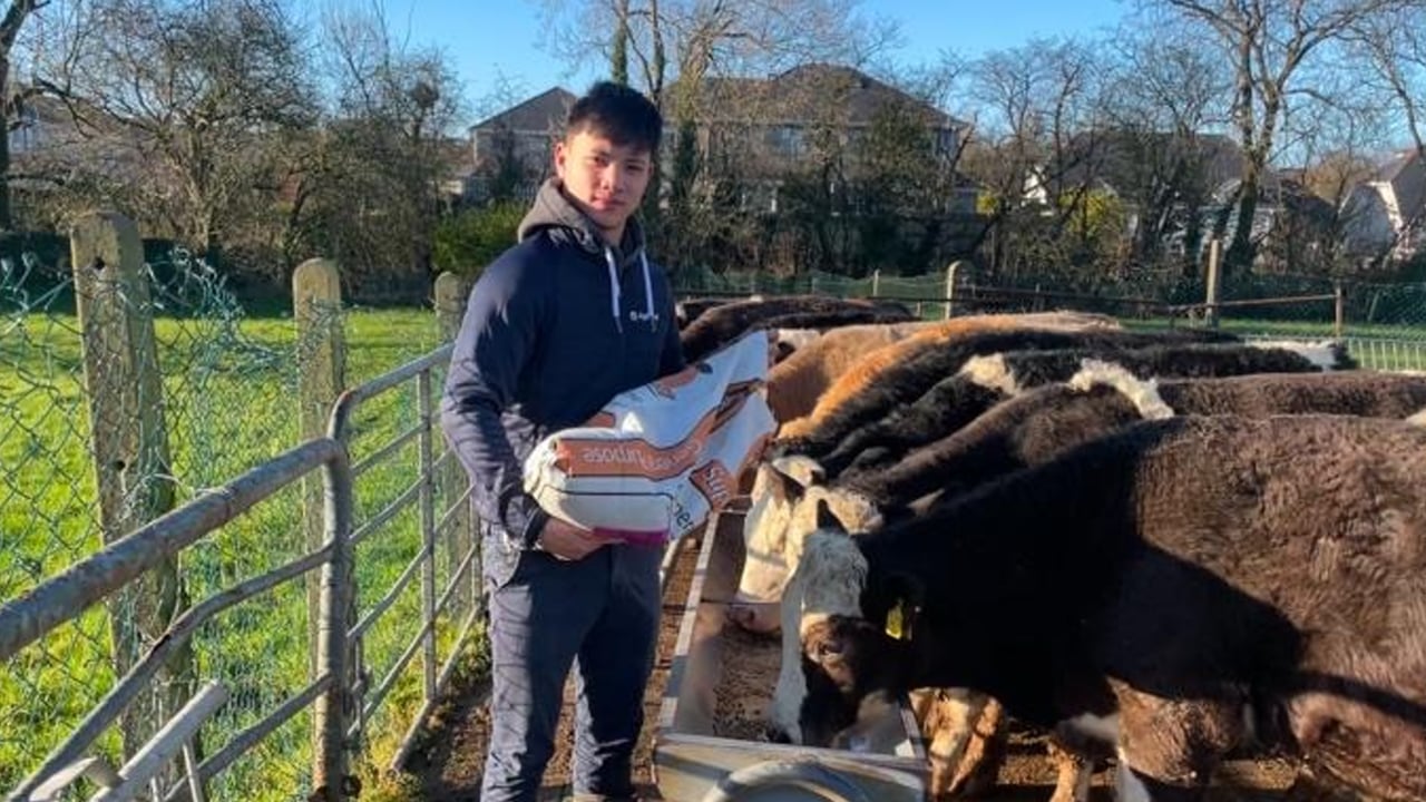 Viral sensation, Eoin Lynch