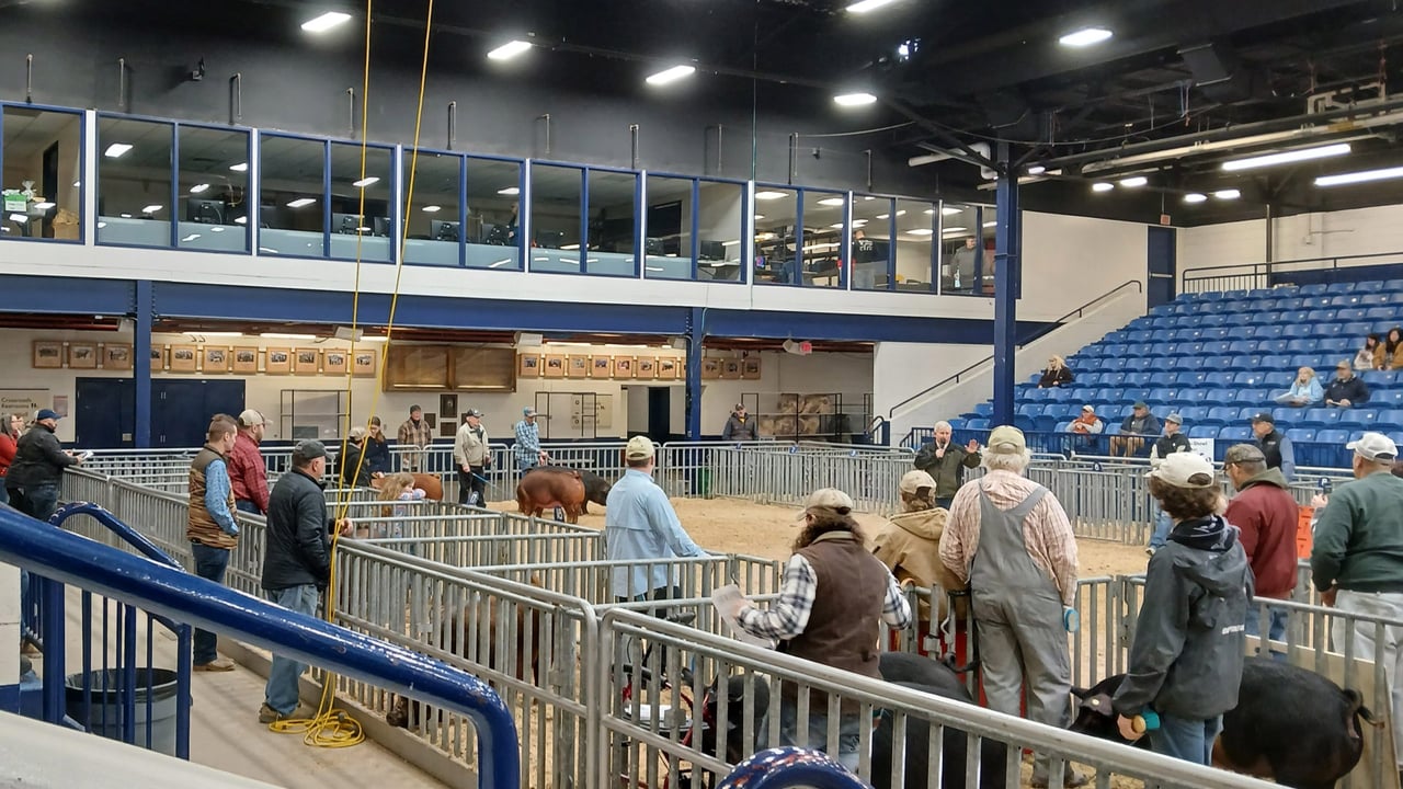 Social initiative for farmers developed in Galway now launched in US