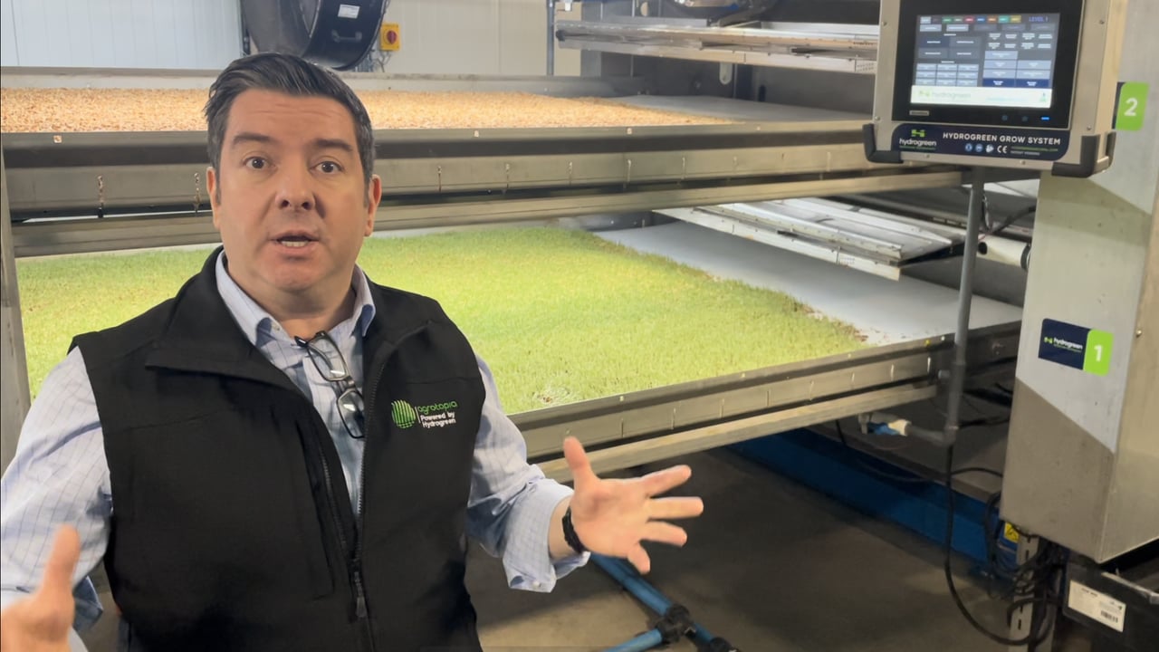 Watch: Meath firm turning seed to high-protein feed in 5 days