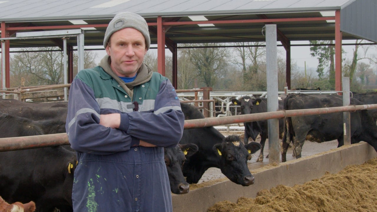 Video: Breeding For Efficiency Series: Jersey cross driving production