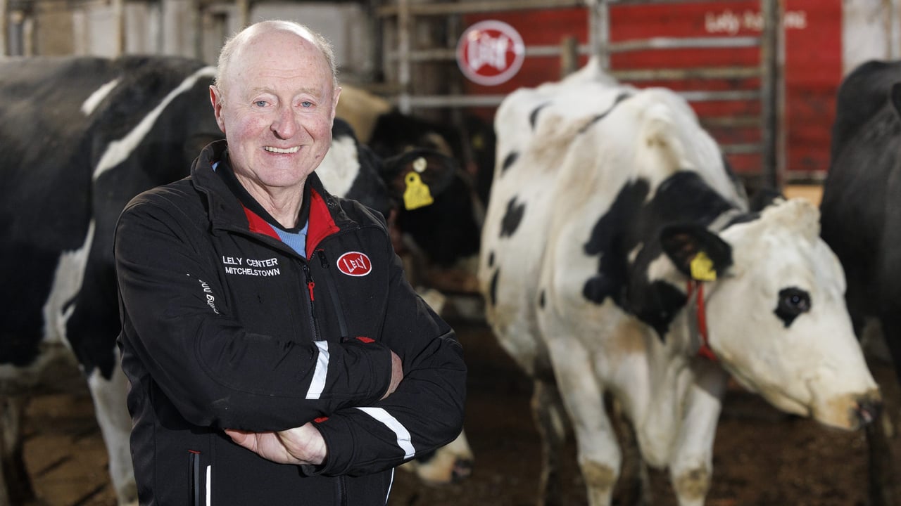 Denis Mulcahy, Newcastlewest, Co Limerick. Lely.