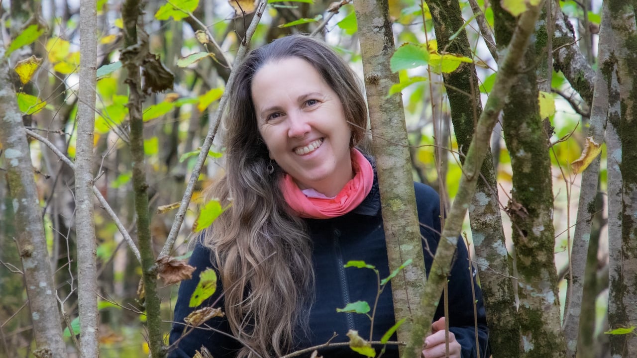 'Agroforestry a great way for farmers to integrate trees' - Hometree