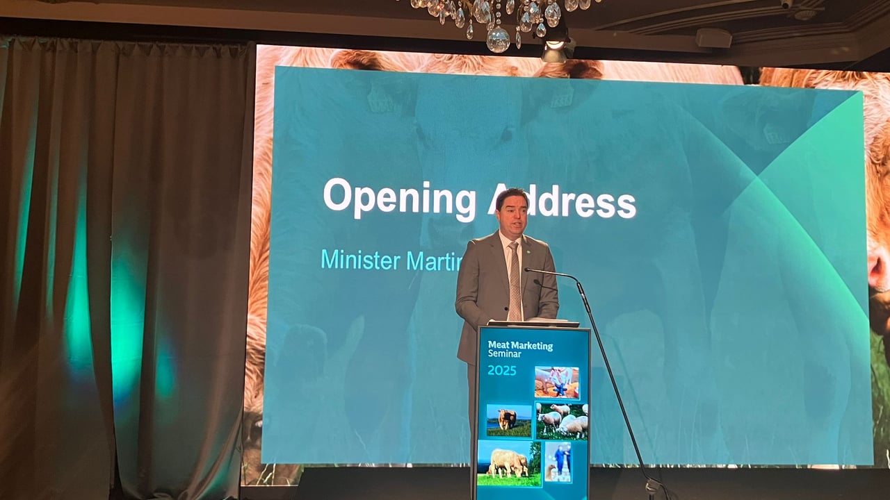 Minister of State Martin Heydon speaking at the Bord Bia Meat Marketing Seminar