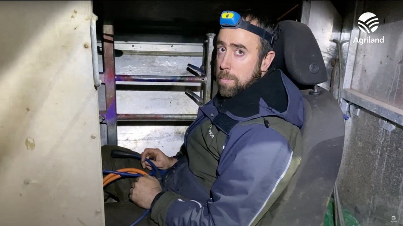 Video: Update on sheep scanning results to date