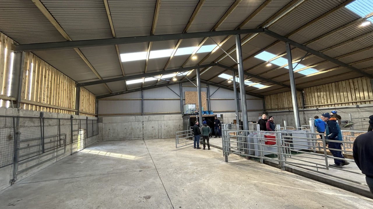 Are your calf facilities optimal for space, health and hygiene?