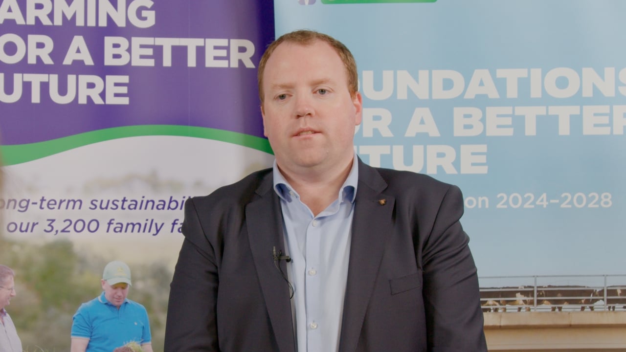 Watch: On the Record - 2025 milk price 'will be higher' - Lakeland Dairies CEO
