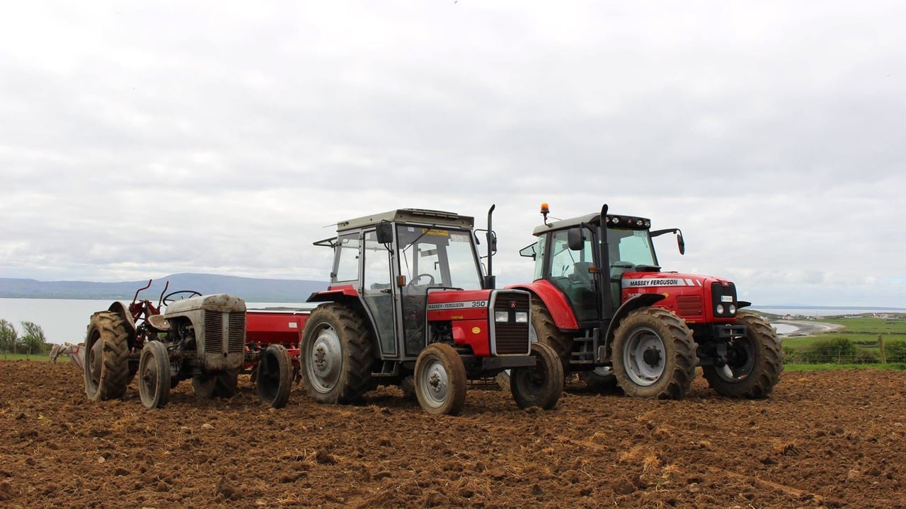 The evolution of the Massey Ferguson Source: Sally Siggins