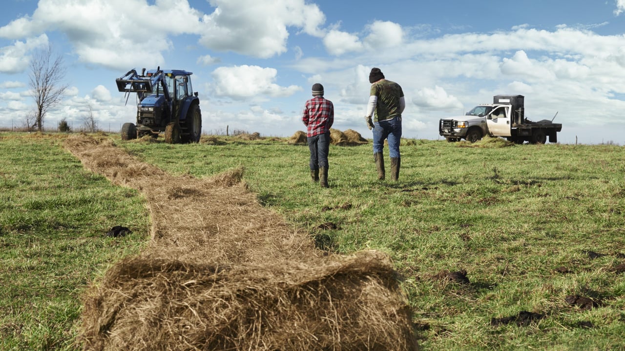 Report identifies succession issues and aging profile of farmers