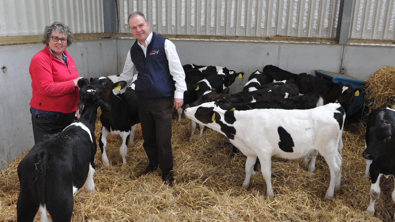 Welsh farmer Eileen Jamieson with Tom Warren, calf nutritionist