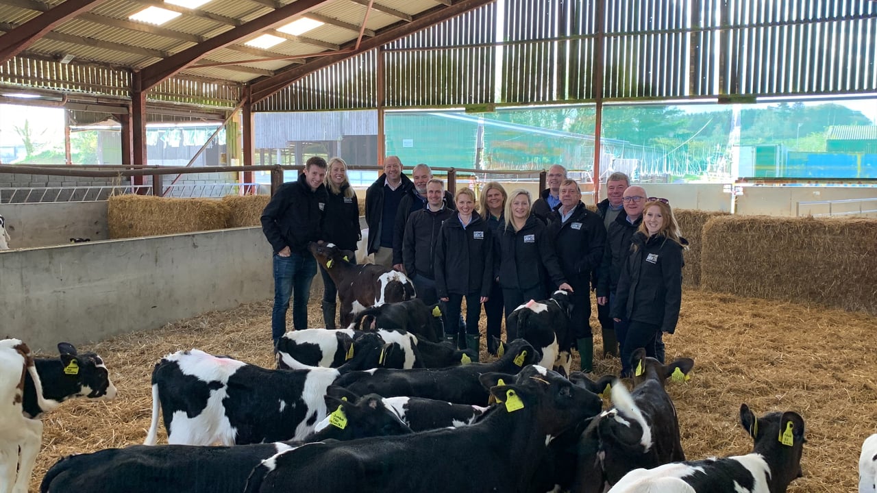 Agriland and Volac Milk Replacers Ireland Ltd to launch 'Calf Rearing Series'