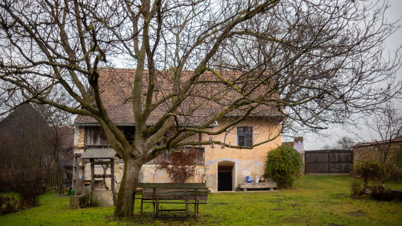 More than 2,000 homes liable  for Vacant Homes Tax in 2024