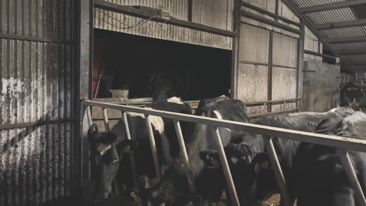 'Lack of water' big problem after storm - Co. Galway dairy farmer