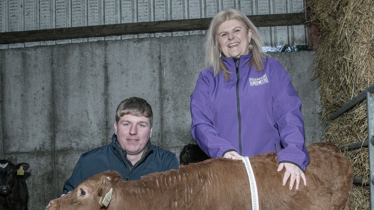 Cork farmer, Aaron Buckley