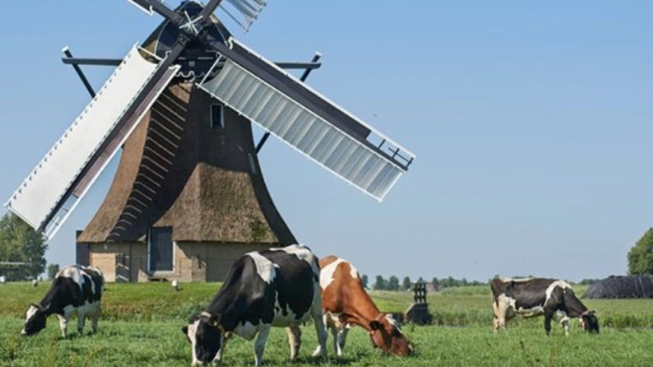 Source: FrieslandCampina