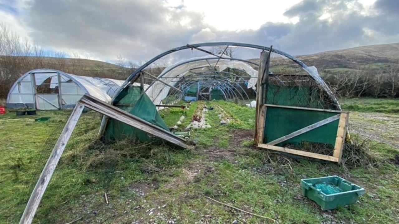 Polytunnels damaged by Storm Éowyn on Thomas O'Connor's farm in Co. Kerry