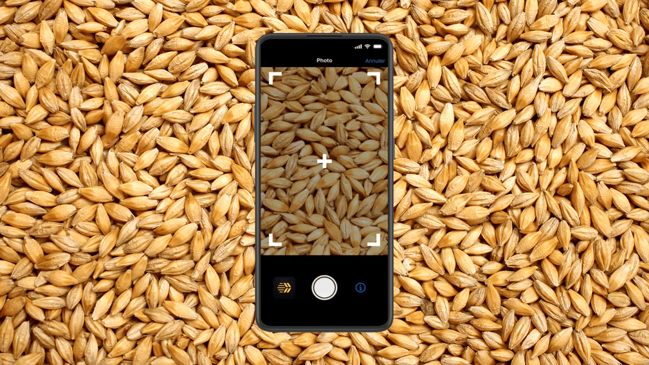 The Inarix grain quality app can be downloaded onto any smartphone