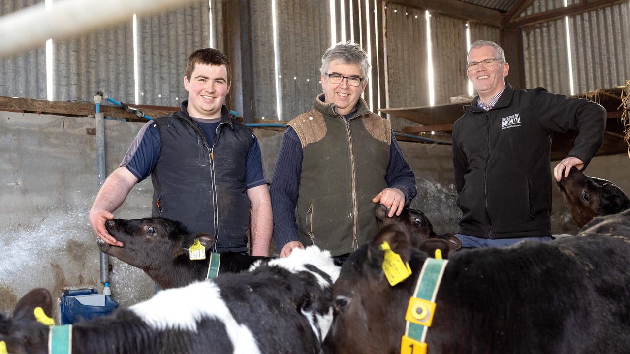 David and Stephen Johnston from Lough Neagh discuss calf-rearing with Volac Milk Replacers Ireland business manager JP Harkin. Source: Volac Milk Replacers Ireland 