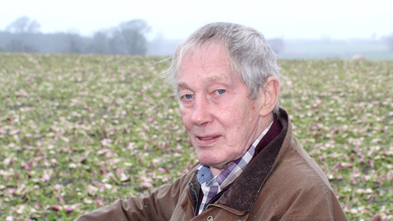 Cereal and maize grower, Allan Chambers