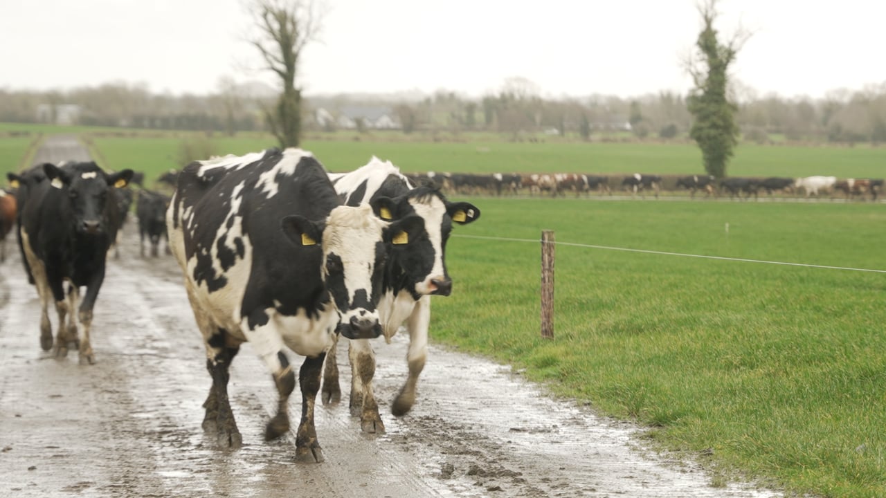 Watch now - Farming for the Future: The Spring Surge