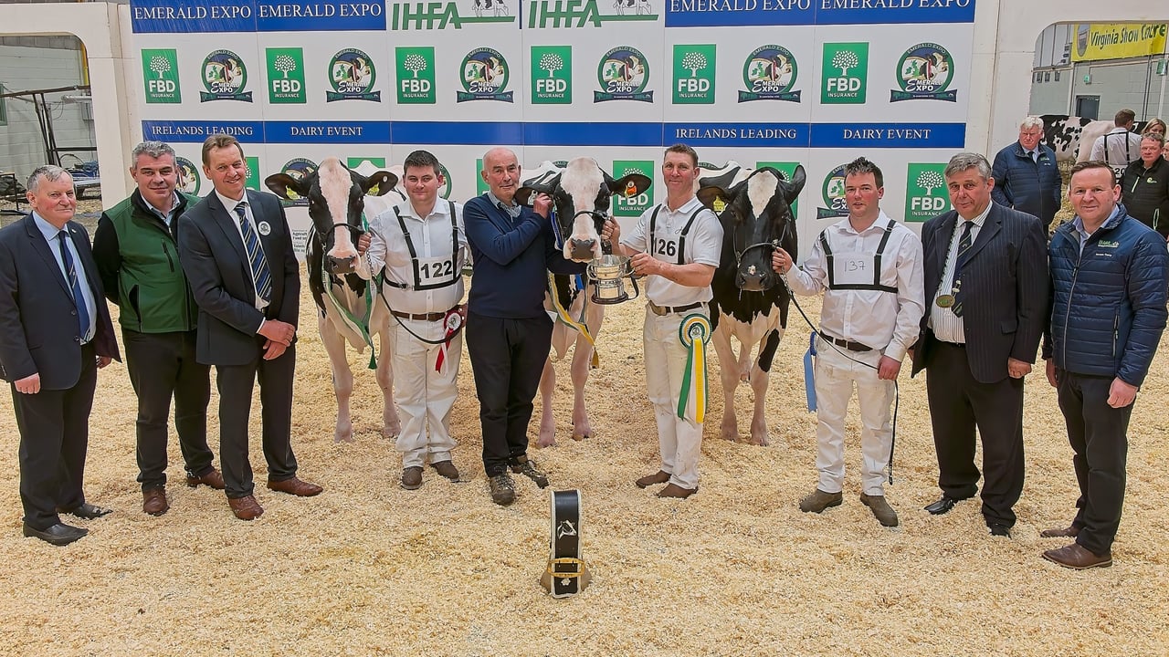 Pictured L-R: Richard Whelan, Emerald Expo show director; Conor McGovern of sponsors FBD; show judge David Booth; show reserve champion, ‘Lisnalty Inka Ideal 609 and handler Paul Murphy; Tom Kelly with show champion, ‘Hallow Solomon Twizzle 3’ and handler Phillip Jones; show honourable mention with handler, Andrew Kennedy; Richard Hamilton, IHFA president; and Laurence Feeney, CE IHFA
