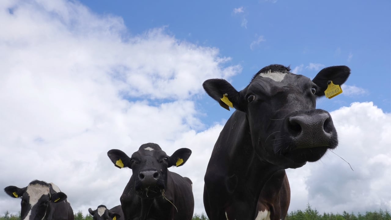 Determining SCC with a single bulk tank milk sample