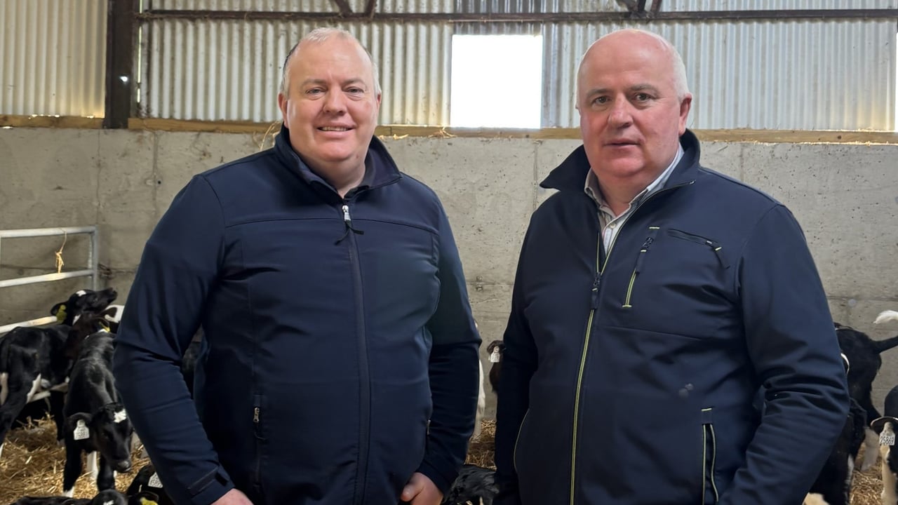 Brothers John and Jimmy Bourke farming in Rathcunikeen, Co. Tipperary