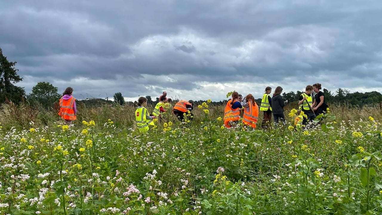 Limerick's Doon Social Farm in growth mode