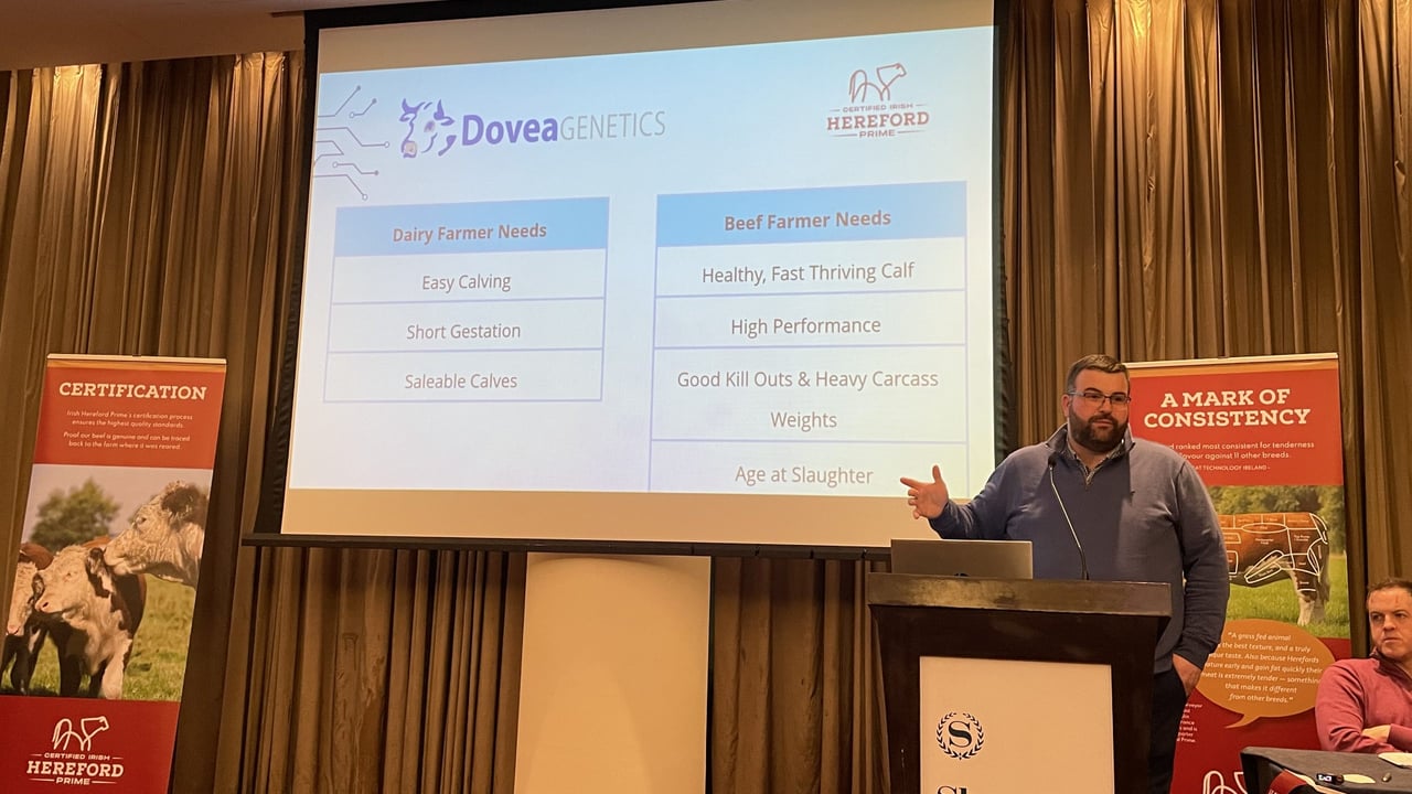 Beef programme manager with Dovea Genetics, John Lynch
