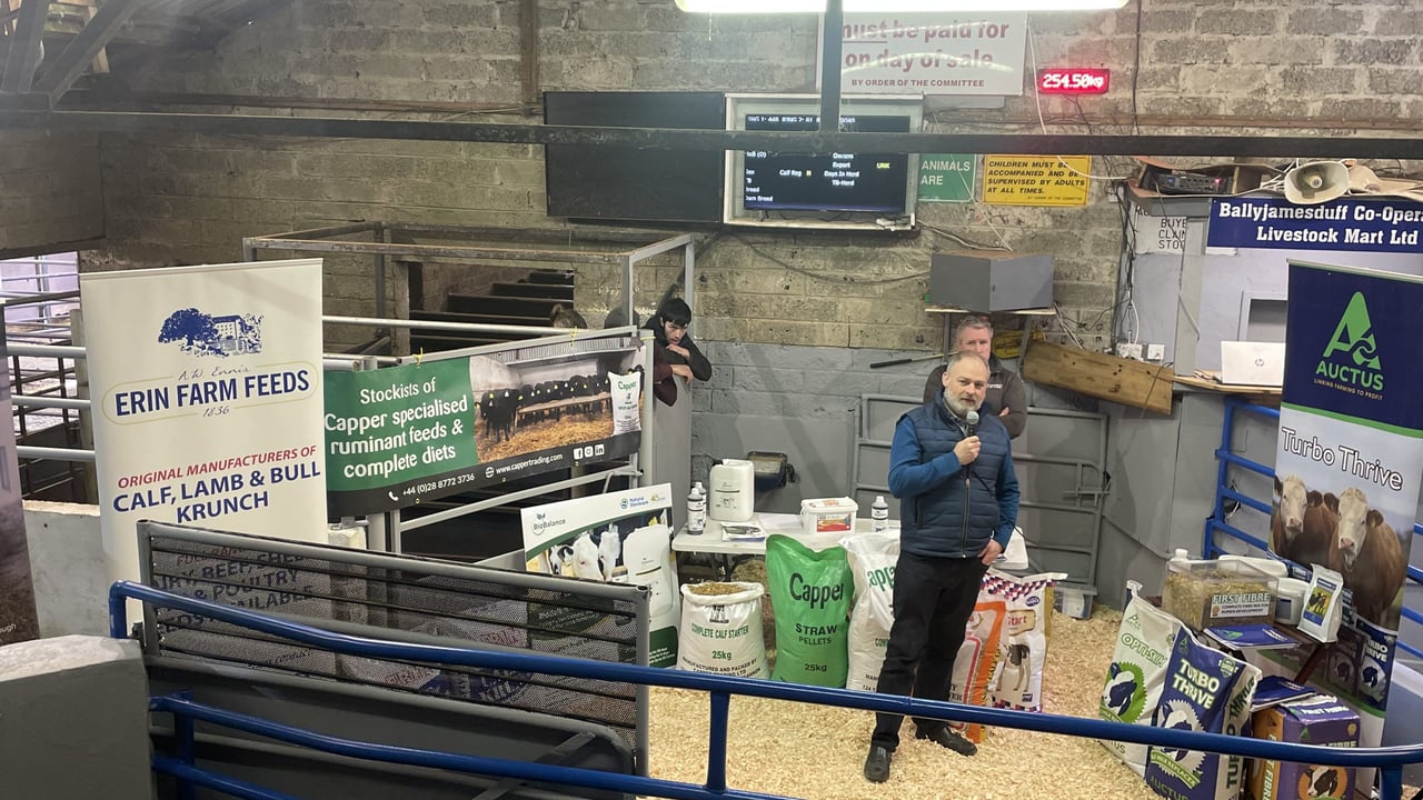 'Most efficient weight gain on an animal is at the calf stage'