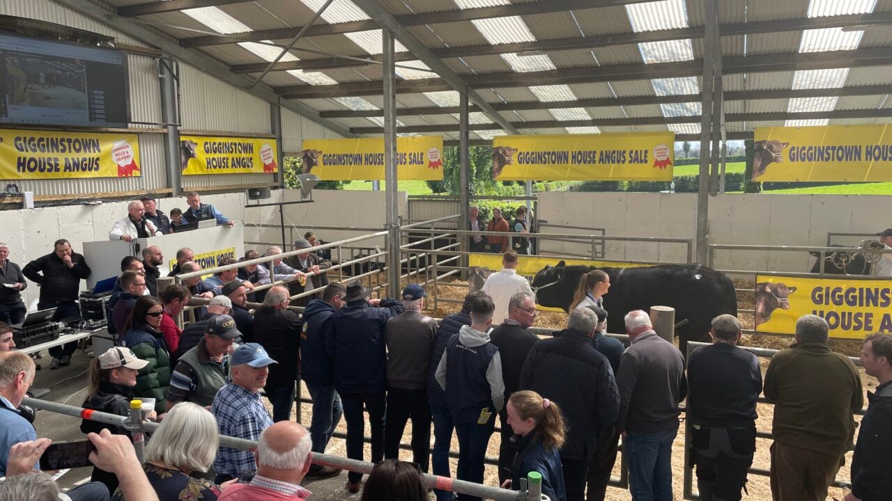 Previous Gigginstown House sale